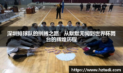 pg模拟电子电玩
